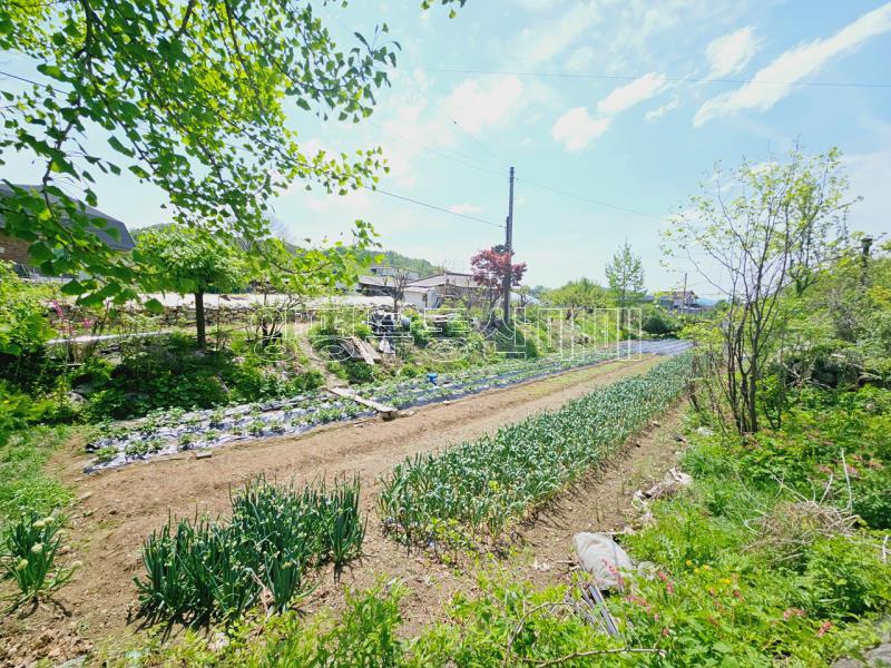 양평군 옥천면 용천리 지상권주택 3천만원_20